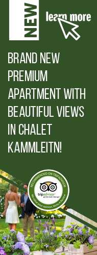 Brand new premium apartment with beautiful views in chalet kammleitn!